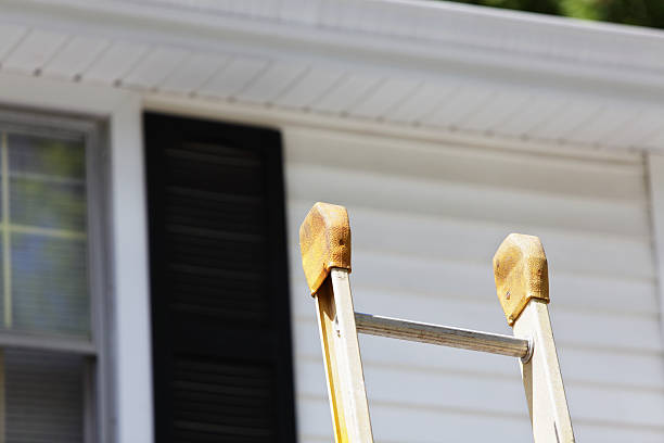 Best Residential Vinyl Siding Installation  in Livonia, LA