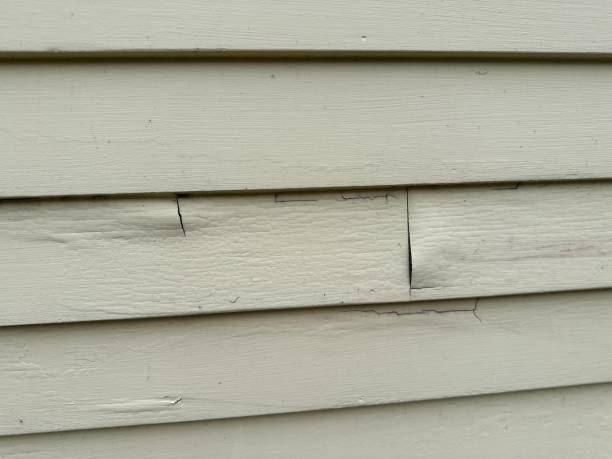 Best Weatherproofing and Sealing  in Livonia, LA